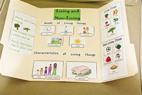 Living Things Science Experiment .
